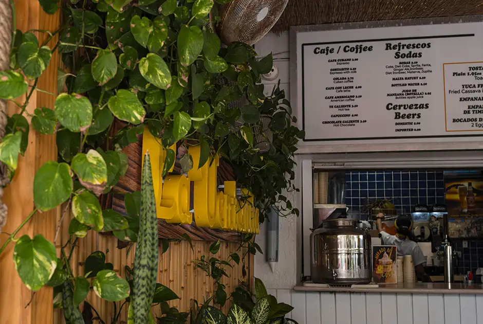Neighborhood café counter with a wall of hanging plants