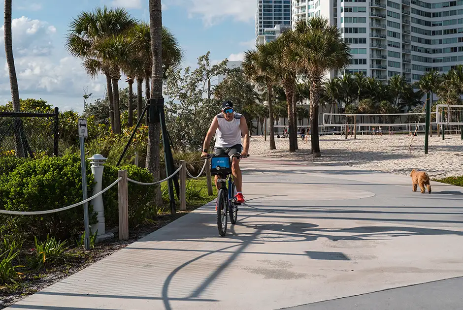 Cyclist riding along a tree-lined path in North Beach